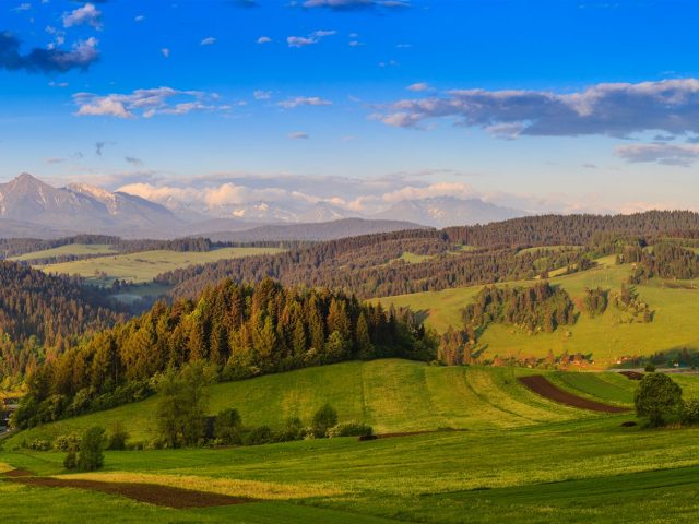 Environment
